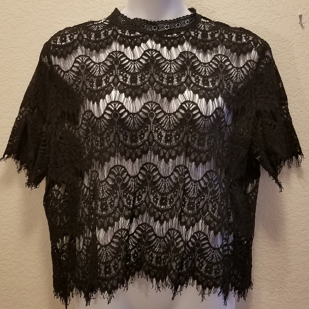 Beautiful Lace Crop Top